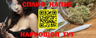 сатива Новодвинск