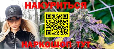 сатива Новодвинск