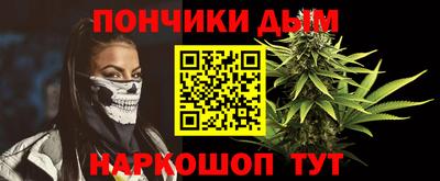 сатива Новодвинск