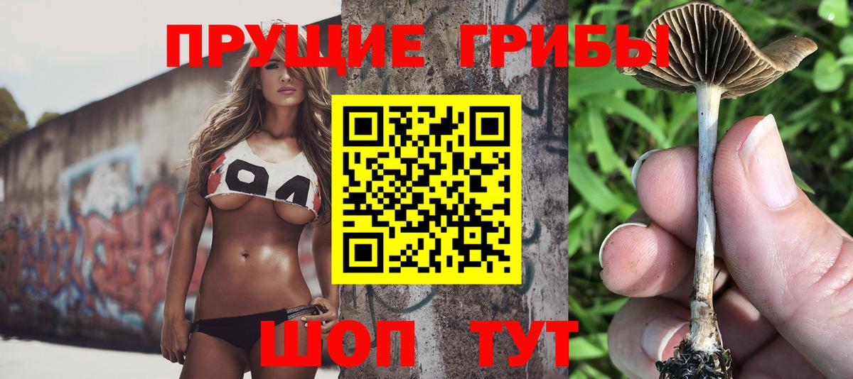 Псилоцибиновые грибы ЛСД  Вход с VPN  Чайковский 