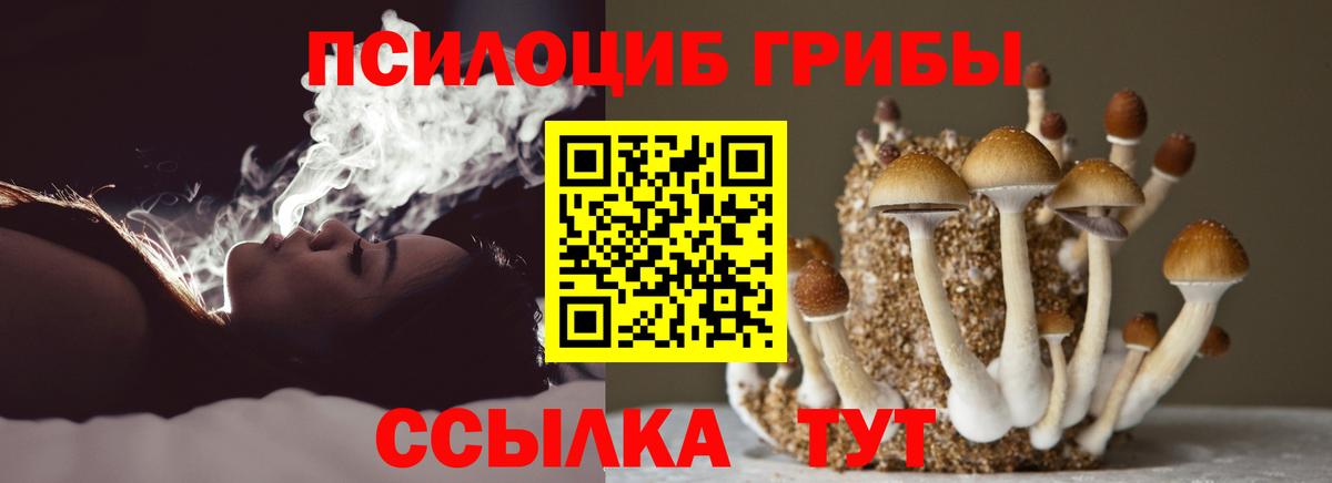 Псилоцибиновые грибы ЛСД Чайковский